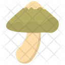 Edible Mushroom Icon