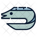 Eel Fish Icon