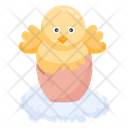 Egg Hatch Icon