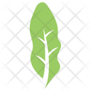 Elaeagnus Angustifolia Leaf Icon
