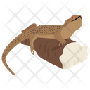 Elasmosaurus Lizard Reptile Geckos Icon
