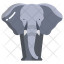 Elephant Animal Mammonth Icon