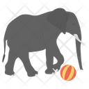 Elephant Act Icon