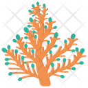 Elkhorn Coral Icon
