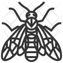Elm Sawfly Insect Icon
