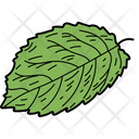 Elm Leaf Leaf Foliage Icon