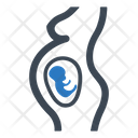 Embryo Icon