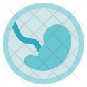 Biology Embryo Pregnancy Icon