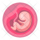 Embryo Baby Medical Icon