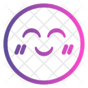 Emoticono De Sonrisa Icono