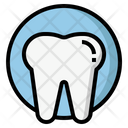 Enamel Teeth Icon