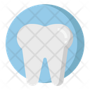 Enamel Teeth Icon