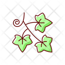 English Ivy  Icon