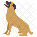 English Mastiff Icon