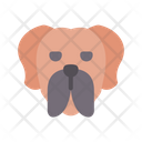 English Mastiff Icon