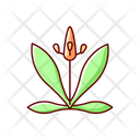English Plantain  Icon