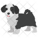 English Springer Spaniel Icon
