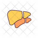 Enlarged Liver Icon