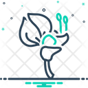 Erythrina  Icon