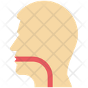 Esophagus Throat Human Head Icon