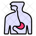 Esophagus Muscular Tube Throat Icon
