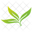 Eucalyptus Leaves Vector Leaves Leaves Logo Icon