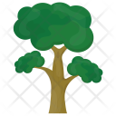 Eucalyptus Deciduous Photosynthesis Icon