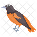 Eurasian Finch Icon