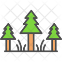 Evergreen Forest Icon