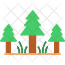 Evergreen Forest Forest Nature Icon