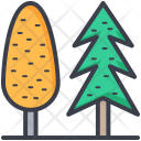 Poplar Tree Cypress Icon