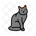Evil Cat Icon