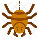 Evil Spider Icon