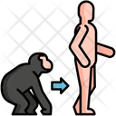 Evolution Icon