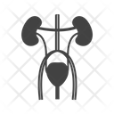 Excretory Icon
