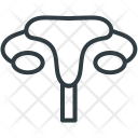Excretory System Bladder Icon