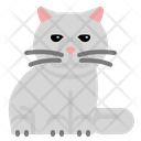 Exotic Shorthair Cat Pet Kittens Exotic Animal Icon