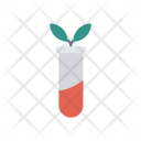 Experiment Practical Growth Icon