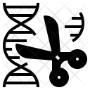 Experiment on dna  Icon