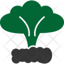Explosion Icon