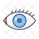 Eye Anatomy View Icon