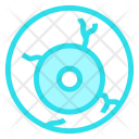 Eye Ball Icon