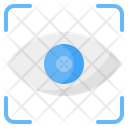 Eye Recognition Icon
