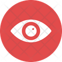 Eye Look Retina Icon