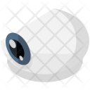 Eyeball Isometric Icon