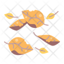 Fall Leaf Leaves Icon