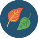 Falling leaf Icon