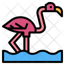 Famingo  Icon