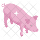 Farm Pig Farm Animal Oink Icon