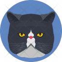 Cat Feline Face Icon